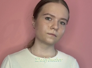 Daisybucher