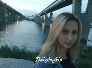 Daisybufkin