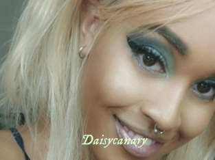 Daisycanary