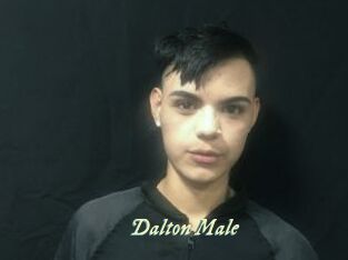 Dalton_Male