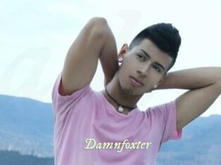 Damnfoxter