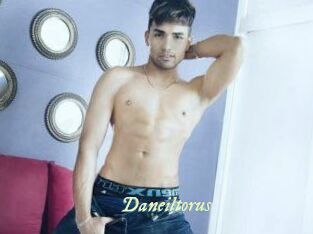 Daneil_torus