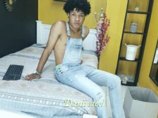 Danii_steel