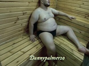 Dannypalmer20
