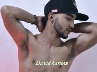 David_harlow