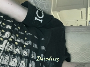 David1123