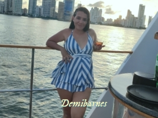 Demibarnes