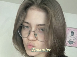 Dinamint