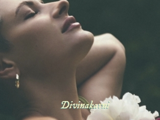 Divinakarni