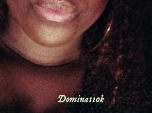 Domina110k