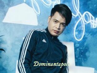 Dominantapolo