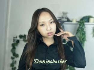 Dominoharber