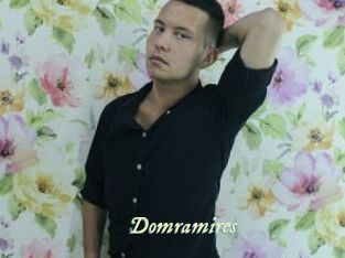 Domramires