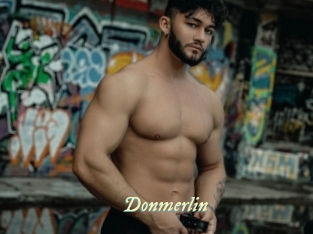 Donmerlin