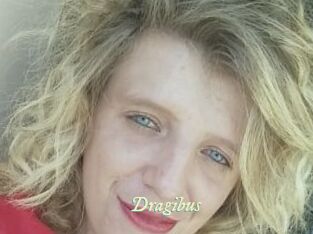 Dragibus