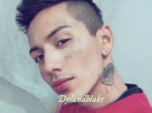 Dylandblake