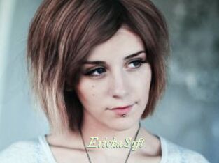 ErickaSoft