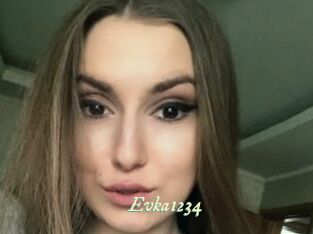 Evka1234