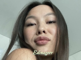 Edinageer