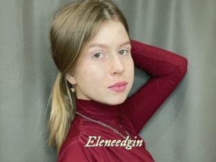 Eleneedgin