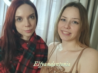 Elfyandantonia