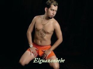 Elguazonbebe