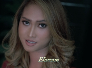 Elisecam
