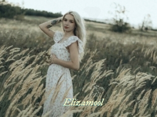 Elizamool
