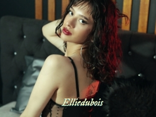 elliedubois Année du sexe
