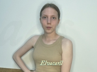 elvacarll Année du sexe