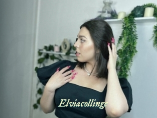 Elviacollinge