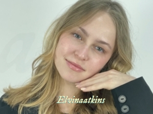 Elvinaatkins