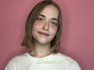 Elvinabute