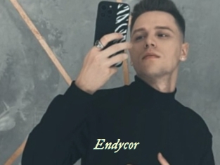 Endycor