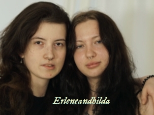 erleneandhilda Année du sexe