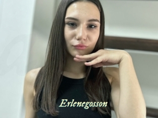 Erlenegosson