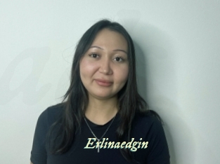 Erlinaedgin