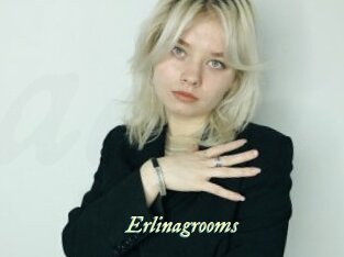 Erlinagrooms