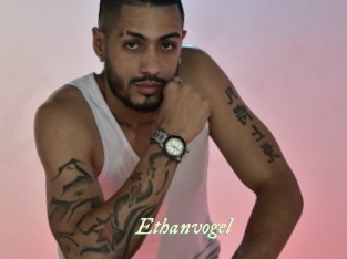 ethanvogel Année du sexe