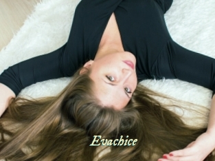 Evachice