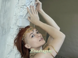 evadragons Année du sexe
