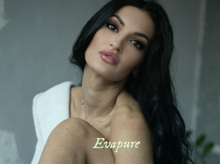 evapure Année du sexe