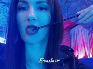 Evaslave