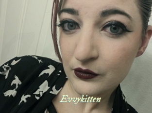 Evvykitten