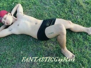 FANTASTICGayMark