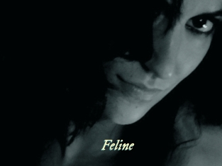 Feline Année du sexe