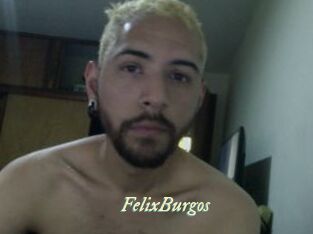 FelixBurgos Année du sexe