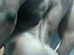 Flamin