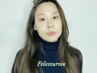 Felicecarvin
