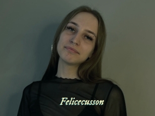 felicecusson Année du sexe